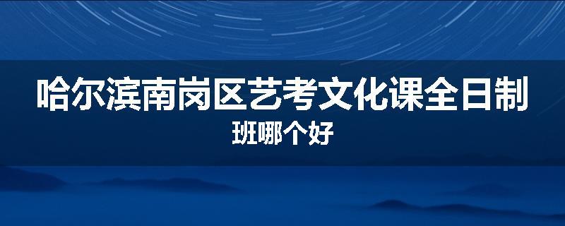 哈尔滨南岗区艺考文化课全日制班哪个好