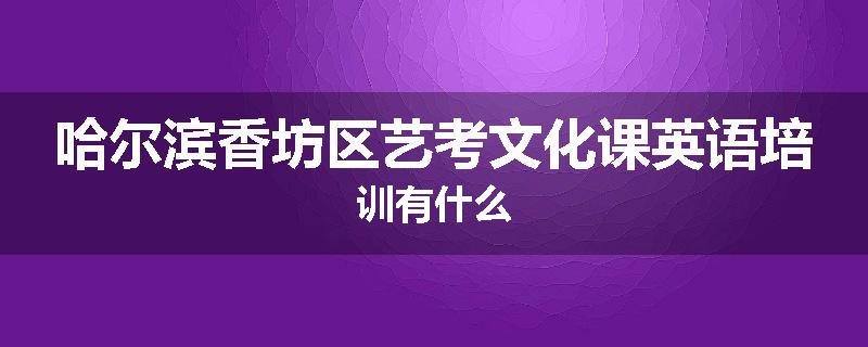 哈尔滨香坊区艺考文化课英语培训有什么