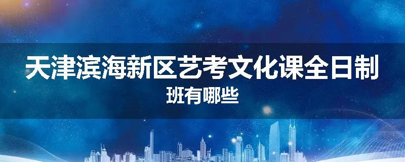 天津滨海新区艺考文化课全日制班有哪些