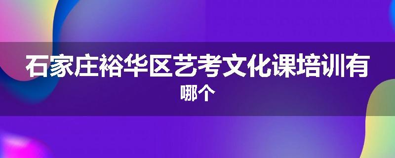 石家庄裕华区艺考文化课培训有哪个