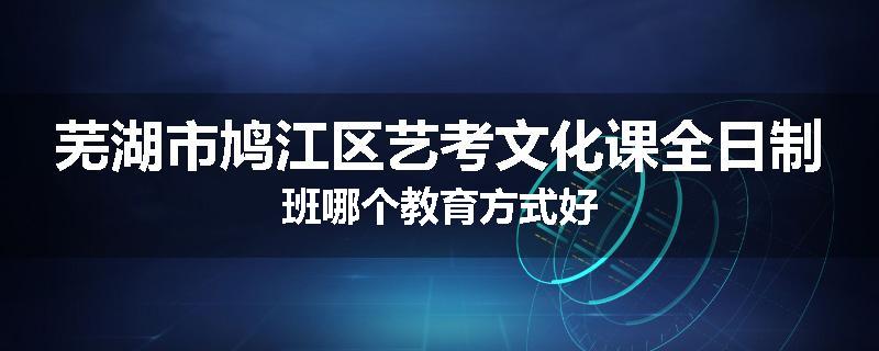 芜湖市鸠江区艺考文化课全日制班哪个教育方式好
