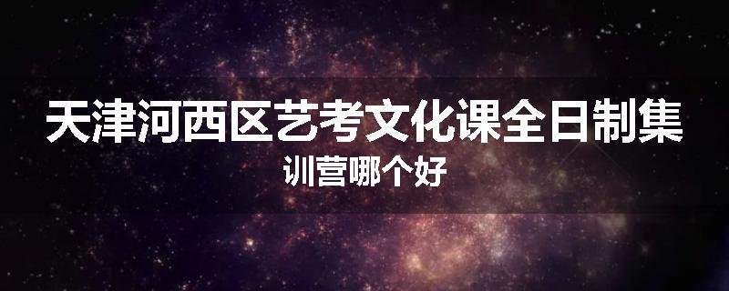 天津河西区艺考文化课全日制集训营哪个好