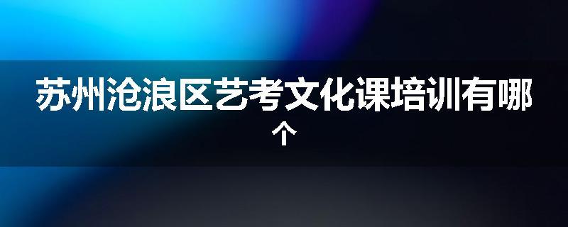 苏州沧浪区艺考文化课培训有哪个