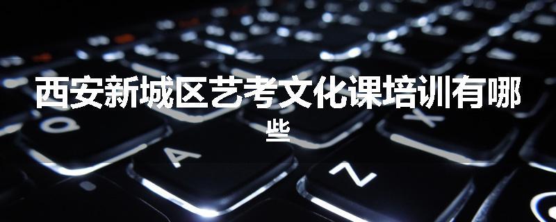 西安新城区艺考文化课培训有哪些