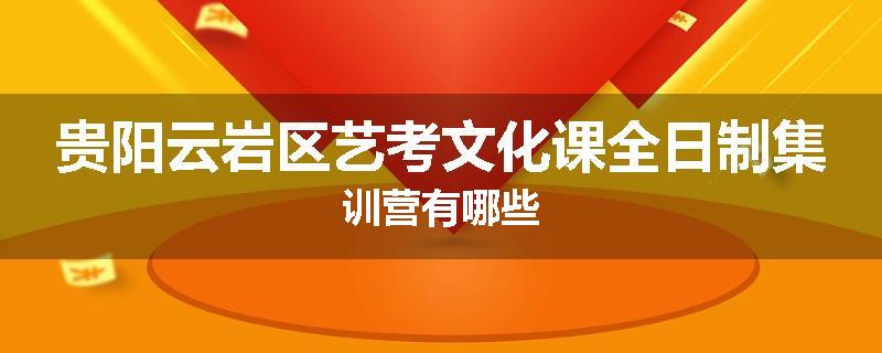 贵阳云岩区艺考文化课全日制集训营有哪些