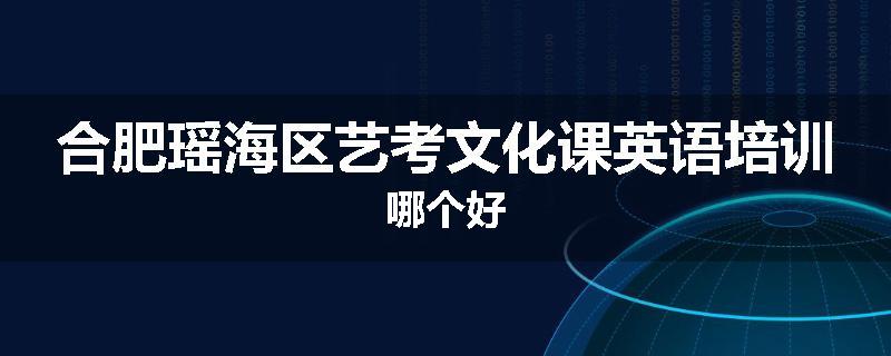合肥瑶海区艺考文化课英语培训哪个好