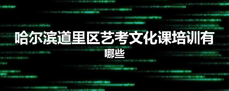 哈尔滨道里区艺考文化课培训有哪些