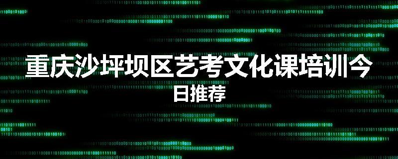 重庆沙坪坝区艺考文化课培训今日推荐