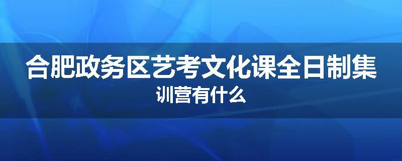 合肥政务区艺考文化课全日制集训营有什么