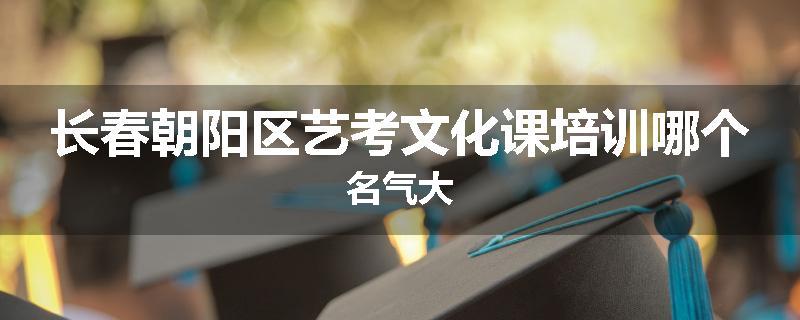 长春朝阳区艺考文化课培训哪个名气大