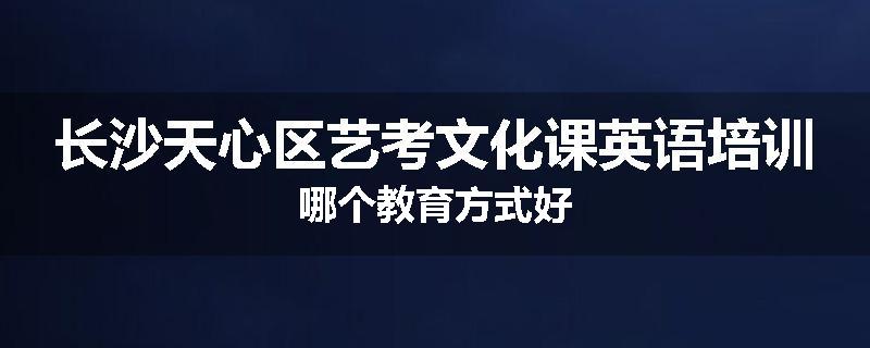 长沙天心区艺考文化课英语培训哪个教育方式好