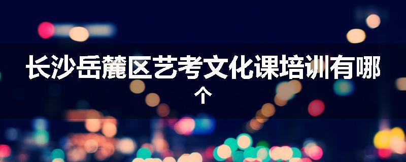 长沙岳麓区艺考文化课培训有哪个