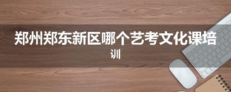 郑州郑东新区哪个艺考文化课培训
