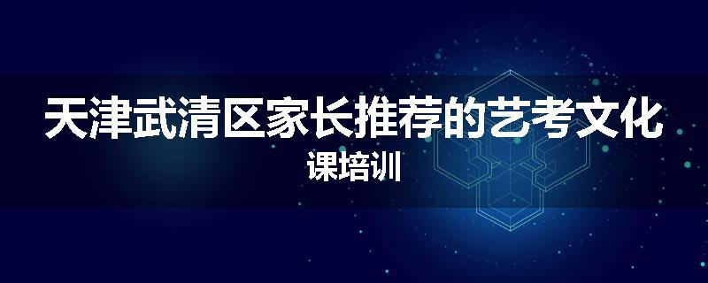 天津武清区家长推荐的艺考文化课培训