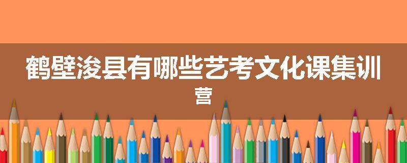 鹤壁浚县有哪些艺考文化课集训营
