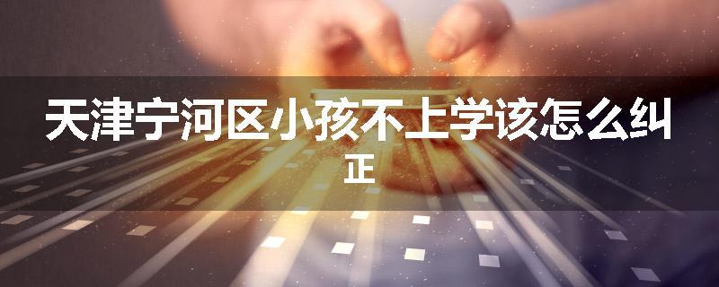 天津宁河区小孩不上学该怎么纠正