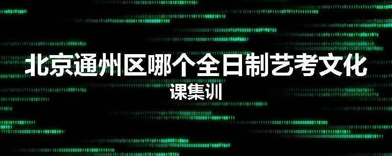 北京通州区哪个全日制艺考文化课集训