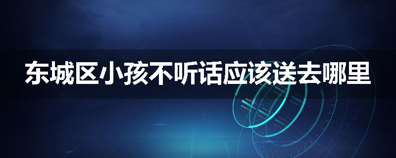 东城区小孩不听话应该送去哪里