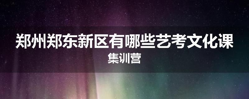 郑州郑东新区有哪些艺考文化课集训营