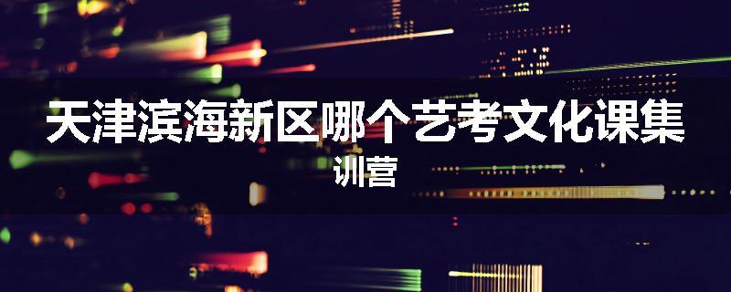 天津滨海新区哪个艺考文化课集训营