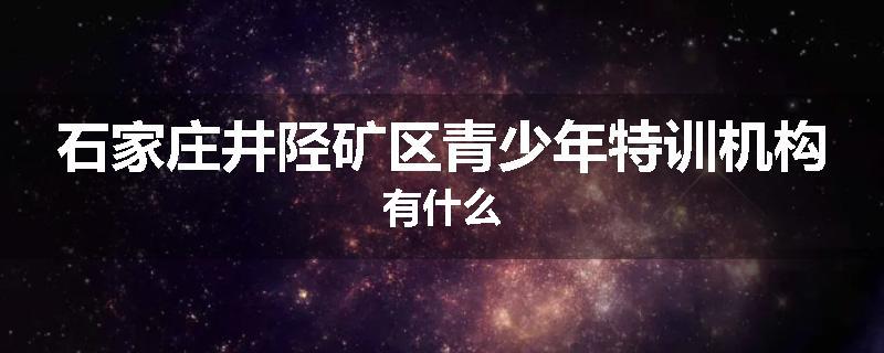 石家庄井陉矿区青少年特训机构有什么