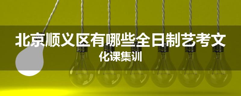 北京顺义区有哪些全日制艺考文化课集训