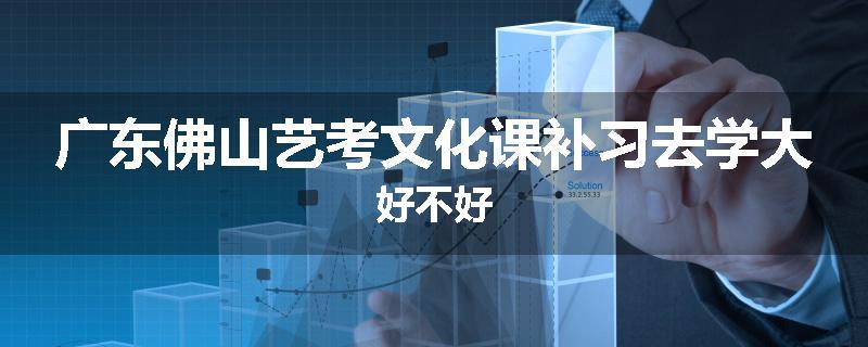 广东佛山艺考文化课补习去学大好不好