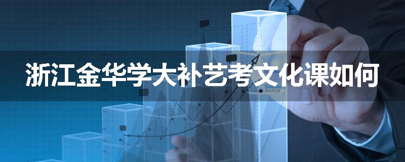 浙江金华学大补艺考文化课如何