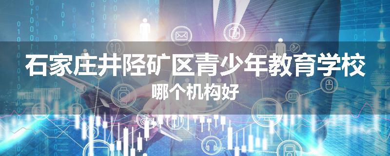 石家庄井陉矿区青少年教育学校哪个机构好