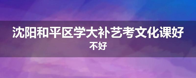 沈阳和平区学大补艺考文化课好不好