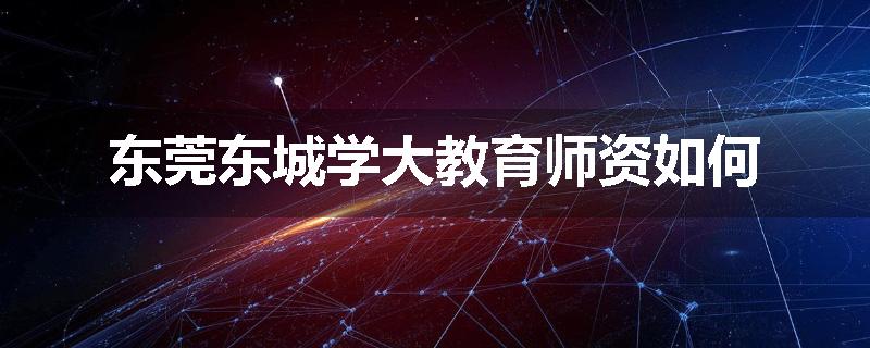 东莞东城学大教育师资如何