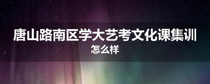 唐山路南区学大艺考文化课集训怎么样