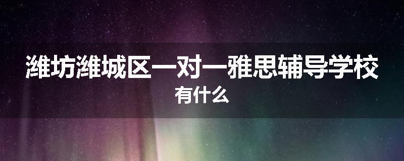 潍坊潍城区一对一雅思辅导学校有什么