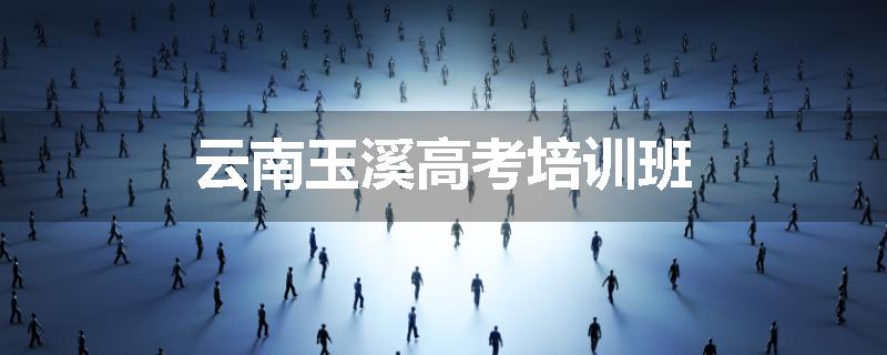 云南玉溪高考培训班