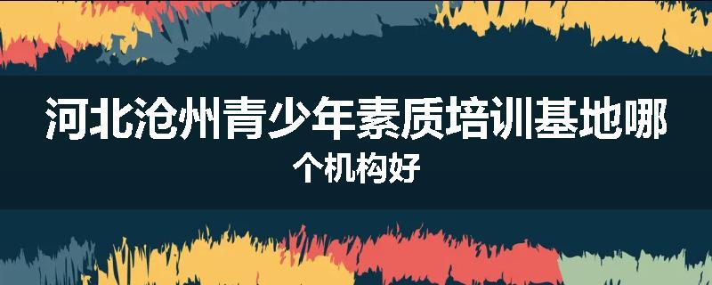 河北沧州青少年素质培训基地哪个机构好