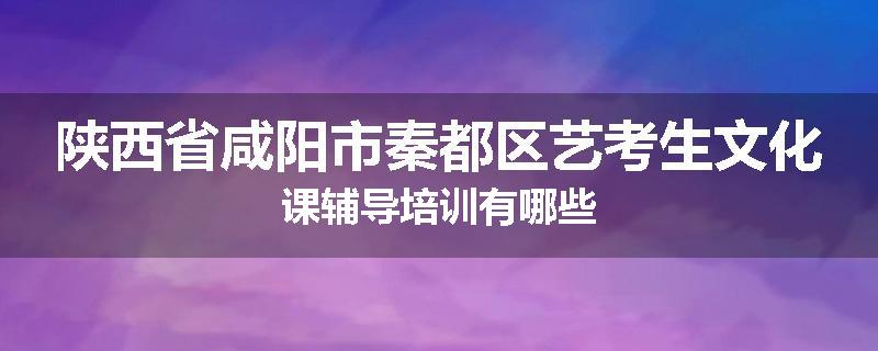 陕西省咸阳市秦都区艺考生文化课辅导培训有哪些