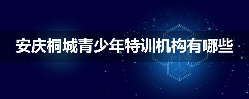 安庆桐城青少年特训机构有哪些