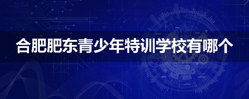 合肥肥东青少年特训学校有哪个