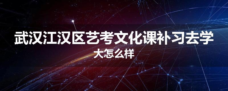 武汉江汉区艺考文化课补习去学大怎么样