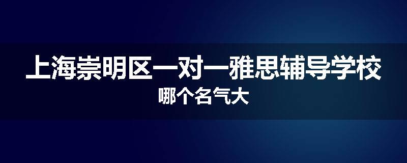 上海崇明区一对一雅思辅导学校哪个名气大