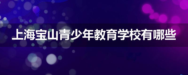 上海宝山青少年教育学校有哪些