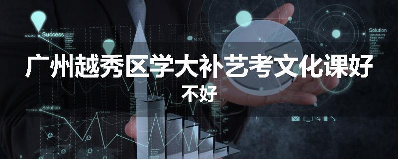 广州越秀区学大补艺考文化课好不好