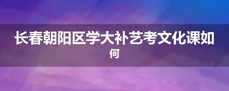 长春朝阳区学大补艺考文化课如何
