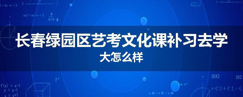 长春绿园区艺考文化课补习去学大怎么样
