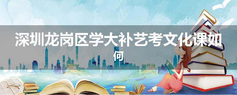 深圳龙岗区学大补艺考文化课如何