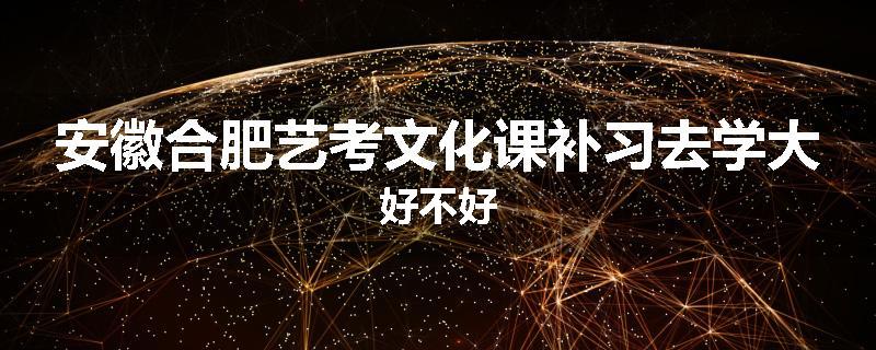 安徽合肥艺考文化课补习去学大好不好