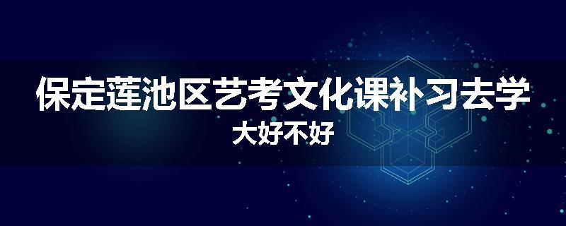 保定莲池区艺考文化课补习去学大好不好