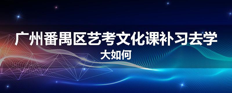 广州番禺区艺考文化课补习去学大如何