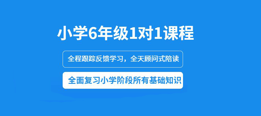 小学6年级1对1课程