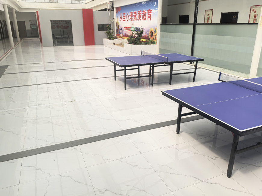 从圣心理素质教育学校